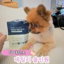 아지동물병원 | [닥터랏츠] 반려동물 건강의 시작 – 믿을 수 있는 영양제 &amp; 간식 브랜드