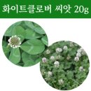 클로버조경 이미지