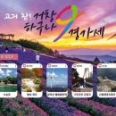 머무름 - 1249 | 머무름