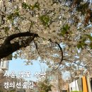 마포, 걷고싶은길 1코스 | 경의선숲길 벚꽃 야장 산책 카페 다 즐길 수 있는 곳