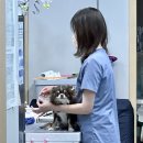 태성동물병원 이미지