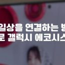 에코 시스템 이미지