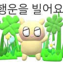 컴팩트 프리덤 이미지