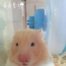 희망종합동물병원 이미지