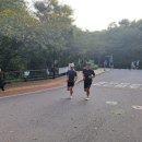 순환로3 이미지