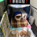 한아름 쉼터 이미지