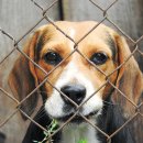 정원동물병원 이미지