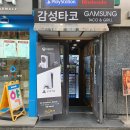 타코,봄 이미지