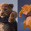 라이온킹 이미지