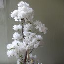 기리시마 이미지