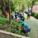 구포3동-4 이미지