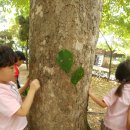 미추어린이집 이미지