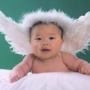 혜성사진관 이미지