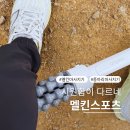 붓고 단단한 다리 탈출, 멜킨 천국의 돌돌이 종아리 마사지 롤러