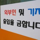 조이그루밍 이미지