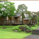 편백나무 주택 이미지