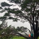 한천경로당 이미지