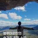 블루스팟 | 블루마운틴 투어 후기📸 진짜 히든 스팟, 이곳 아시나요?