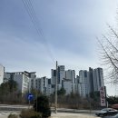 싹쓸이 | [남양주/별내] 낙지왕궁 본점, 낙지덮밥 정식 싹쓸이 후기~!!!