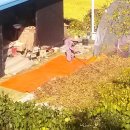 의리농장 이미지