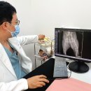 24시 서울YES동물병원 | 강아지 슬개골 탈구 수술 비용 24시청담우리동물병원 후기