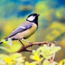 탄천 연원마을 이미지