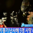 임소초 이미지