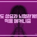 삼성탑내과의원 이미지