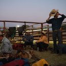 붉은황소 이미지