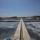 태평기업