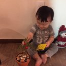 구름열매 이미지