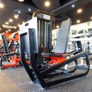 팀레드휘트니스 이미지