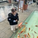 범계농장 이미지