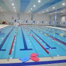 도약체육관 이미지