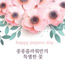 광주화환꽃배달서비스 네이버블로그