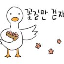 성북 오향족발 이미지