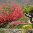 전망좋은곳 이미지