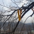 용산-154 이미지