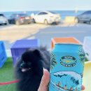 이마트24 동해어달해변점 이미지