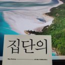 24-149. 집단의 힘/박귀현/푸른숲/1쇄 2023. 11. 30./283면/18,800원 이미지