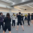 하바스MMA 압구정 이미지