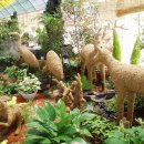 연자방아 이미지