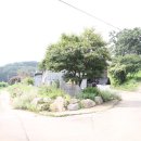 사랑의 다리 이미지