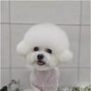 와르아르 네이버블로그