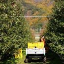 김준식농장 이미지