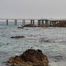 평해목장 이미지