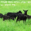 염소한마리 이미지