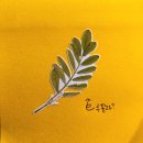 루꼴라 피자 &amp; 바질파스타 먹고 왔어요. 여미마 후기