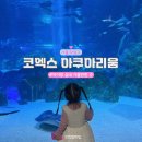 공주-29 | 29개월 아이랑 씨라이프 코엑스 아쿠아리움 (주차 먹이주기 인어공주 관람)