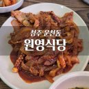 청주불고기식당 | 청주 운천동 백반집 오삼불고기,오징어볶음 맛집 원영식당 솔직후기